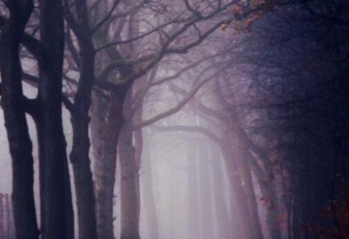 快速成为精英的四大标准,如何快速成为领导心腹的六种方法