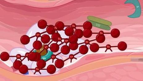 血友病，这些常见问题急需解决办法！