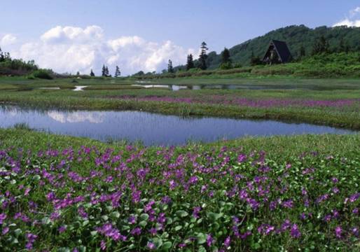 日本绝景精选,日本十大美景排行榜