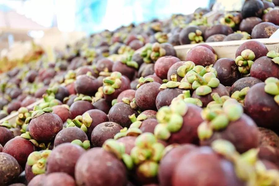 泰国吃榴莲自助餐视频,第一次吃泰国料理