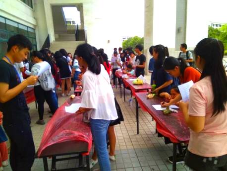 南北粽子对战视频,南北甜粽子大战