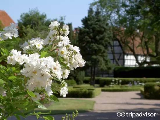 六月不热海边旅游推荐,夏季炎热适合去哪里旅游