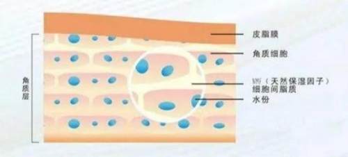 痘痘反反复复还可以护肤吗,痘痘长期下不去
