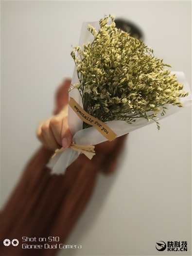 金立s10双摄像头手机,金立s10测评有什么特殊功能