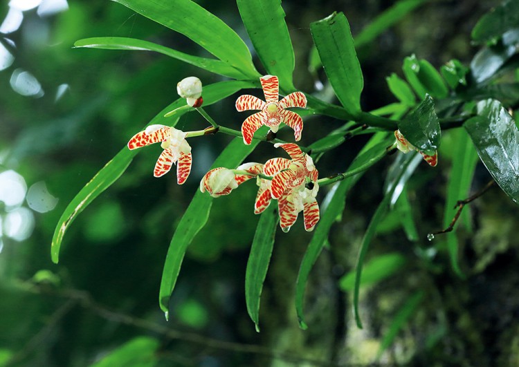 世界物种基因库在什么地方,探秘人类基因