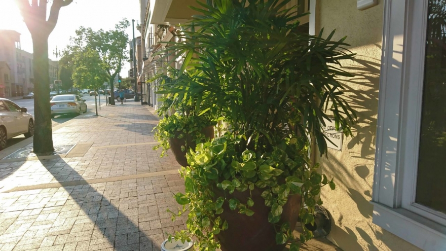 索尼xperia1ii跟1iii的区别,小内存nas