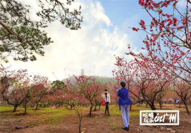 广州最新最美最好玩的景点,广州最值得去玩的景点推荐一下