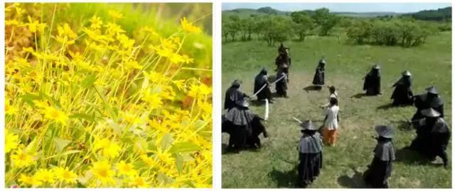 看图猜地名谁是卧底,看图猜地名镇雄