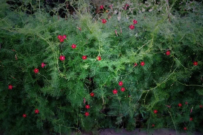 谁说我们大连人糙了，这些老地名儿都文艺的不要不要的！