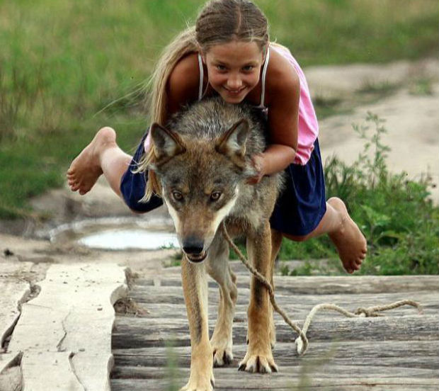 超级可爱的十大萌宠可以在家养,好养又干净的宠物萌宠