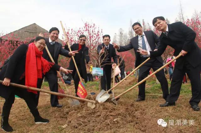 七星岩景区桃花,肇庆七星岩的桃花是什么颜色的