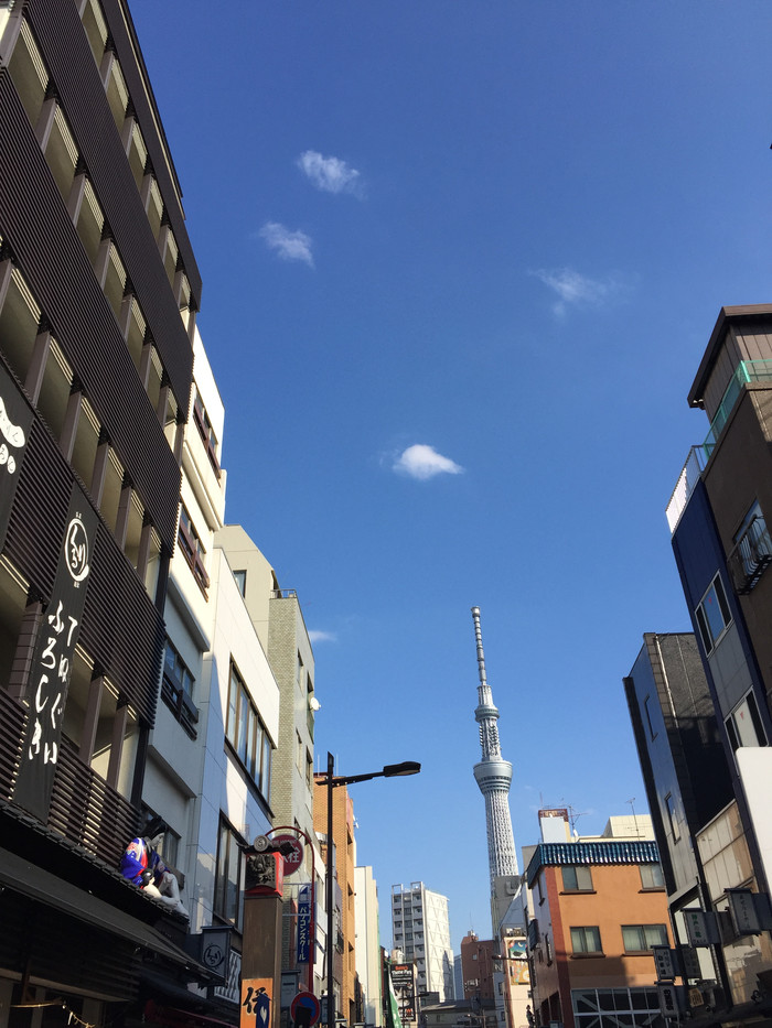 日本的冬日暖阳,日本的冰雪世界