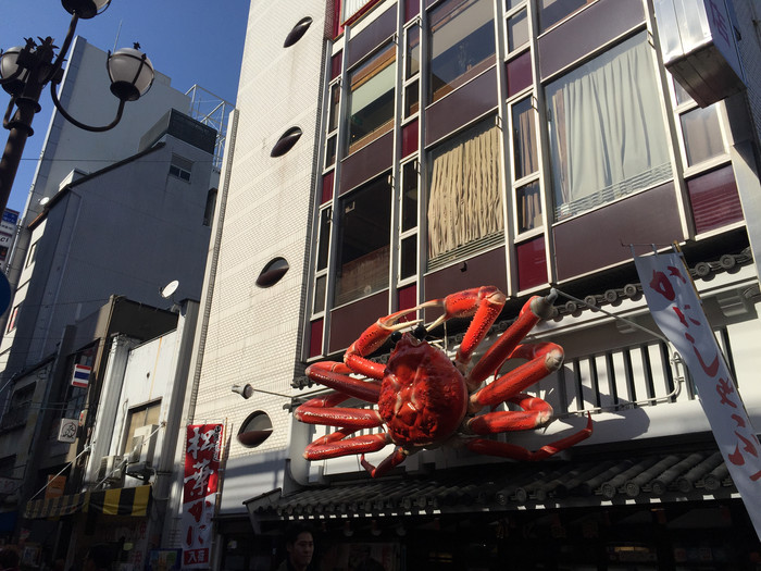 日本的冬日暖阳,日本的冰雪世界