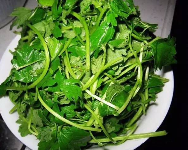 端午节艾叶美食,糯米艾叶饭