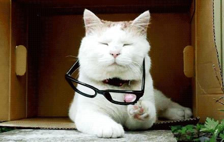 夏天出门必备防晒款有哪些,夏天出门必备防晒和热的东西