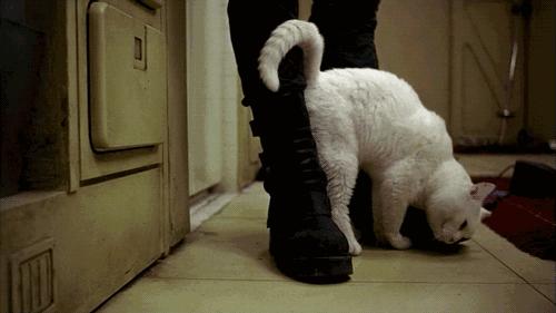 如何正确皮鞋护理清洁保养两不误,皮鞋怎么进行日常保养护理