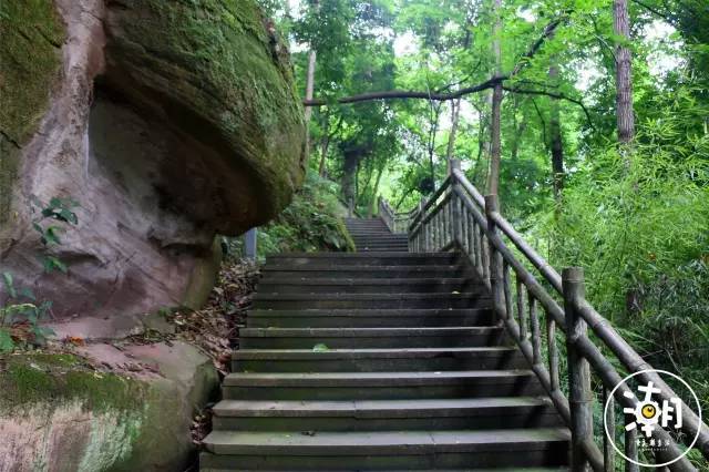 重庆桂花园景点,重庆桂花公园免费