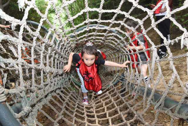 六一到了小孩子们都去哪玩了,六一到小朋友们齐欢笑