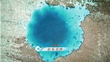 行走的荷尔蒙黄立行,行走的荷尔蒙黄立行完整版