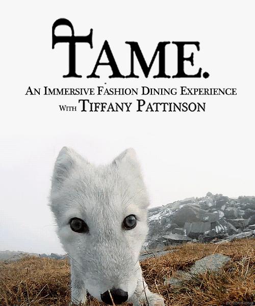 EVENTTIFFANYPATTINSON沉浸式时装宴会秀|AW17GreenCodePreview