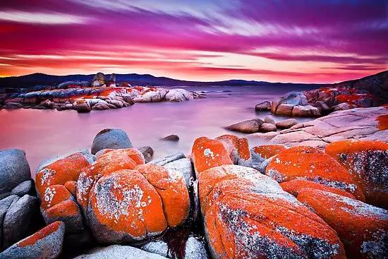 先定一个小目标活下来,先定一个小目标全集