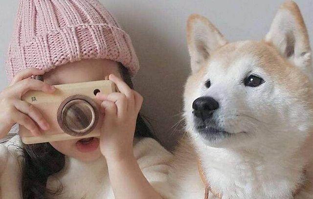 狗狗价格表又便宜又好养,宠物市场狗狗的价格