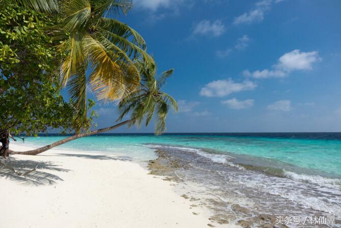 马尔代夫岛屿前十排名,马尔代夫适合蜜月的岛屿