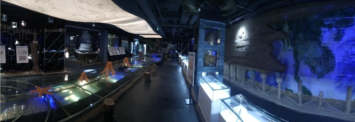 皇马假日南海博物馆主题酒店,皇马假日海岛风情酒店