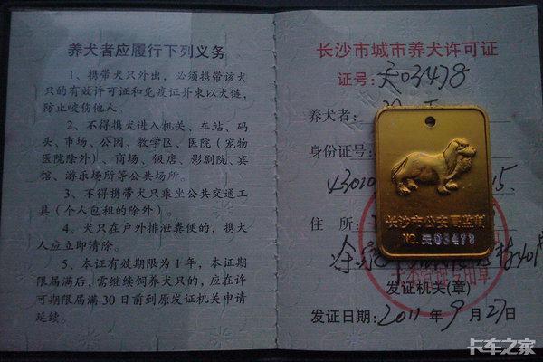 开车撞了条狗算不算交通事故,狗在马路上被车撞了怎么划分责任