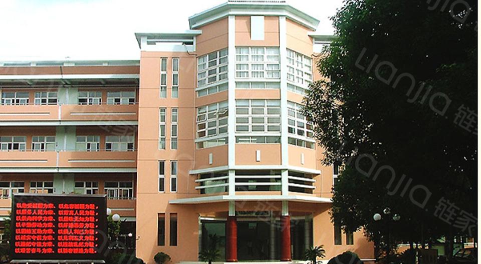 三林板块世博板块,三林板块未来发展