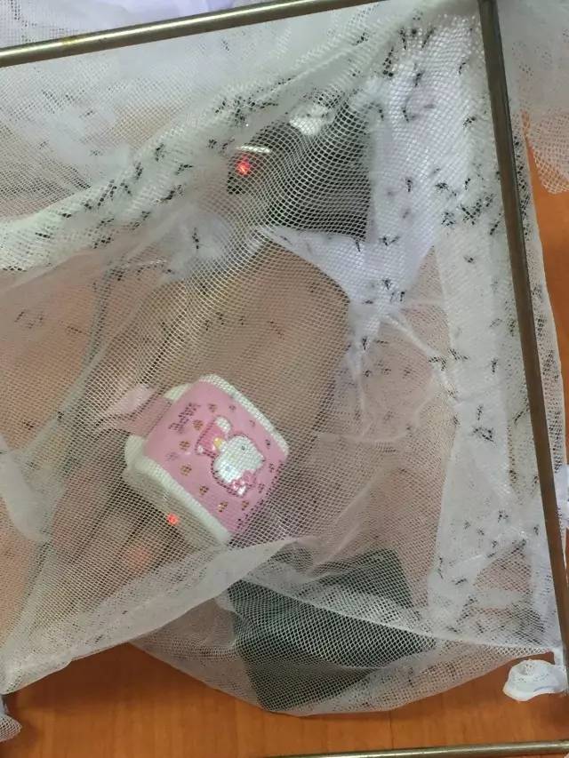 央视驱蚊测评,驱蚊产品测评主播