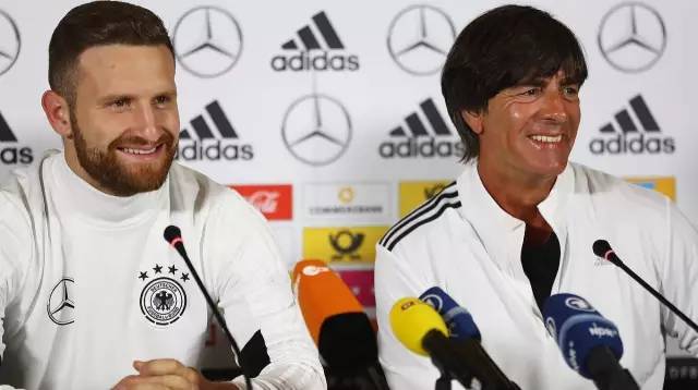 冰岛奇迹2014欧洲杯,冰岛队今天的首发阵容