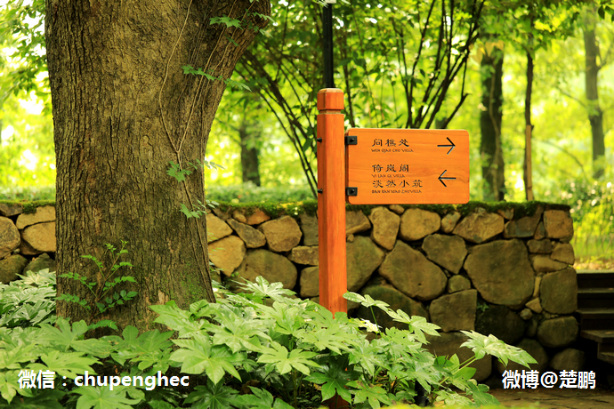 曾是马云江南会,只有9间房,中国最牛的野奢度假村什么样