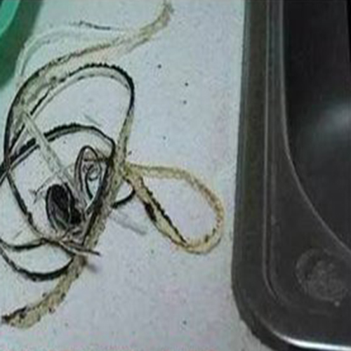 水槽边的霉点怎么去除,水槽霉迹如何除去