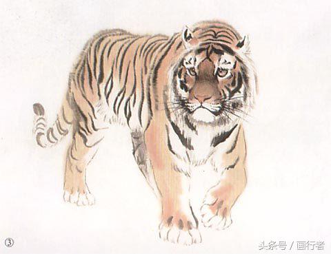 画虎年的老虎,如何画虎年的老虎