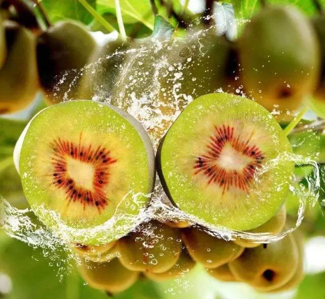 为什么要去四川广元,对不起我要去钟祥了图片