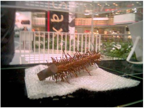 什么是创新思维,什么是创新思维的重要手段