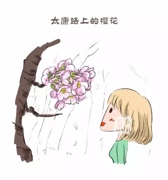 在洛阳生活中的感受,洛阳游玩真实感受