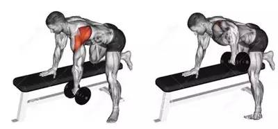 不练背和腿的训练安排,不练背阔肌的动作