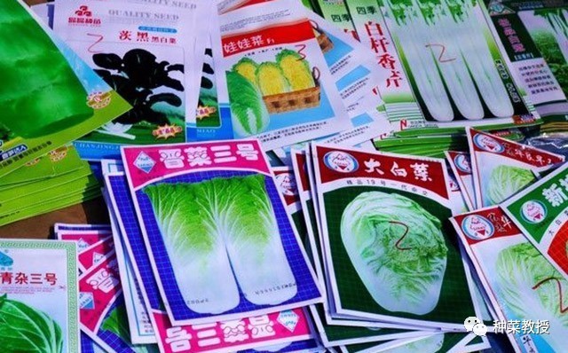 阳台种菜万能种子播种法新手扫盲,阳台种菜种子秋冬季