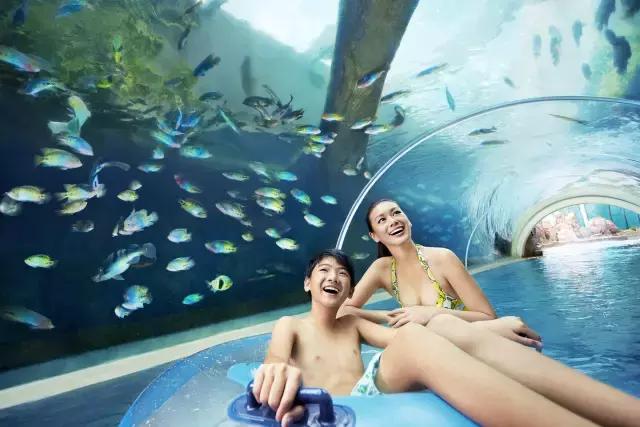 夏一站—深夜的啤酒比清晨的白粥好喝!尤其是虎牌的!