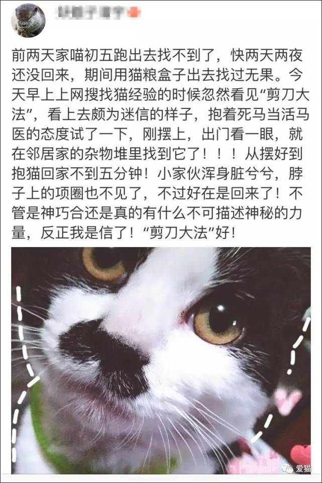剪刀大法回来的猫,剪刀法找猫成功几率