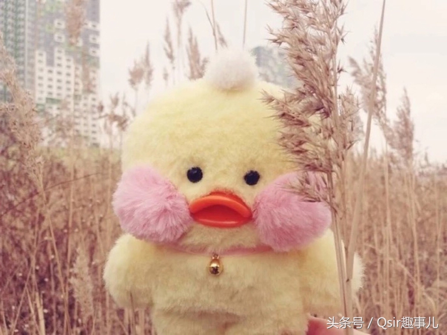 搞笑图集(7)-玻尿酸打多了怎么办?那就来当表情包新星啊