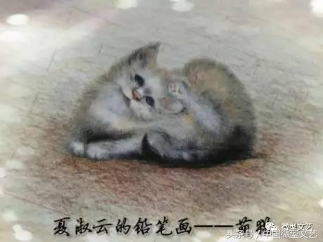 王子红尘品读美静杯诗歌