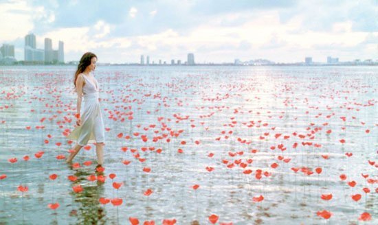 kenzo香水是什么味道,kenzo所有香水香调介绍