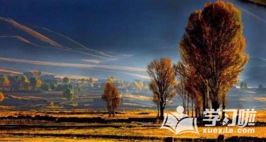 世界最美海岛景点,世界最美潜水景点