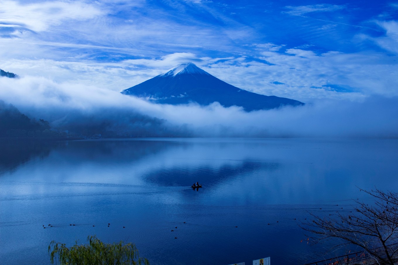 日本物语落樱下的邂逅,浪漫的日本物语