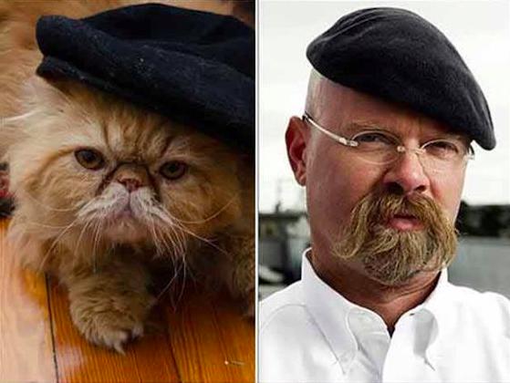 猫最像人的照片,和猫撞脸的人