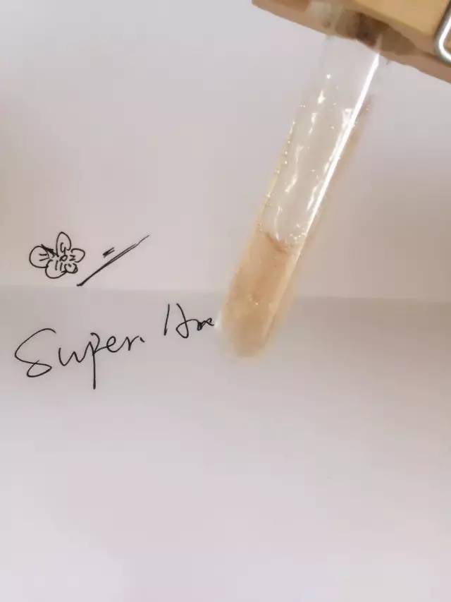 不用的芦荟胶怎么办,不用芦荟怎么做芦荟胶