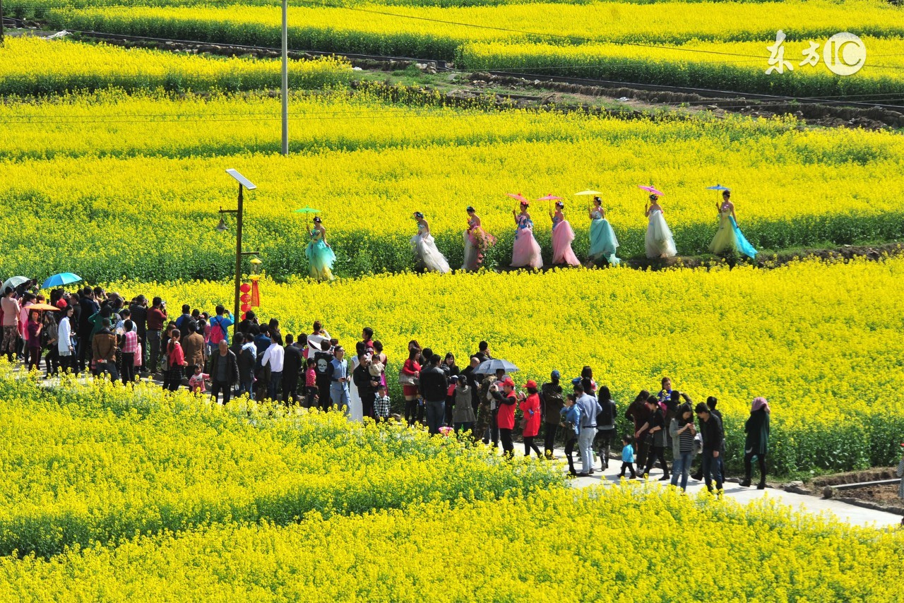 乡村生活的古诗村居,借景抒情田园古诗